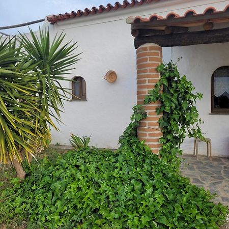 Quinta Da Belavista Villa Reguengos de Monsaraz Buitenkant foto